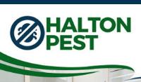 Halton Pest image 1